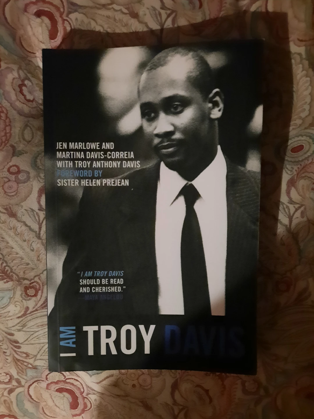 I am Troy Paperback Book