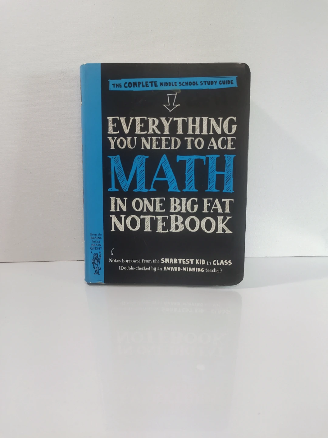 Everything You Need to Ace Math in One Big Fat Notebook