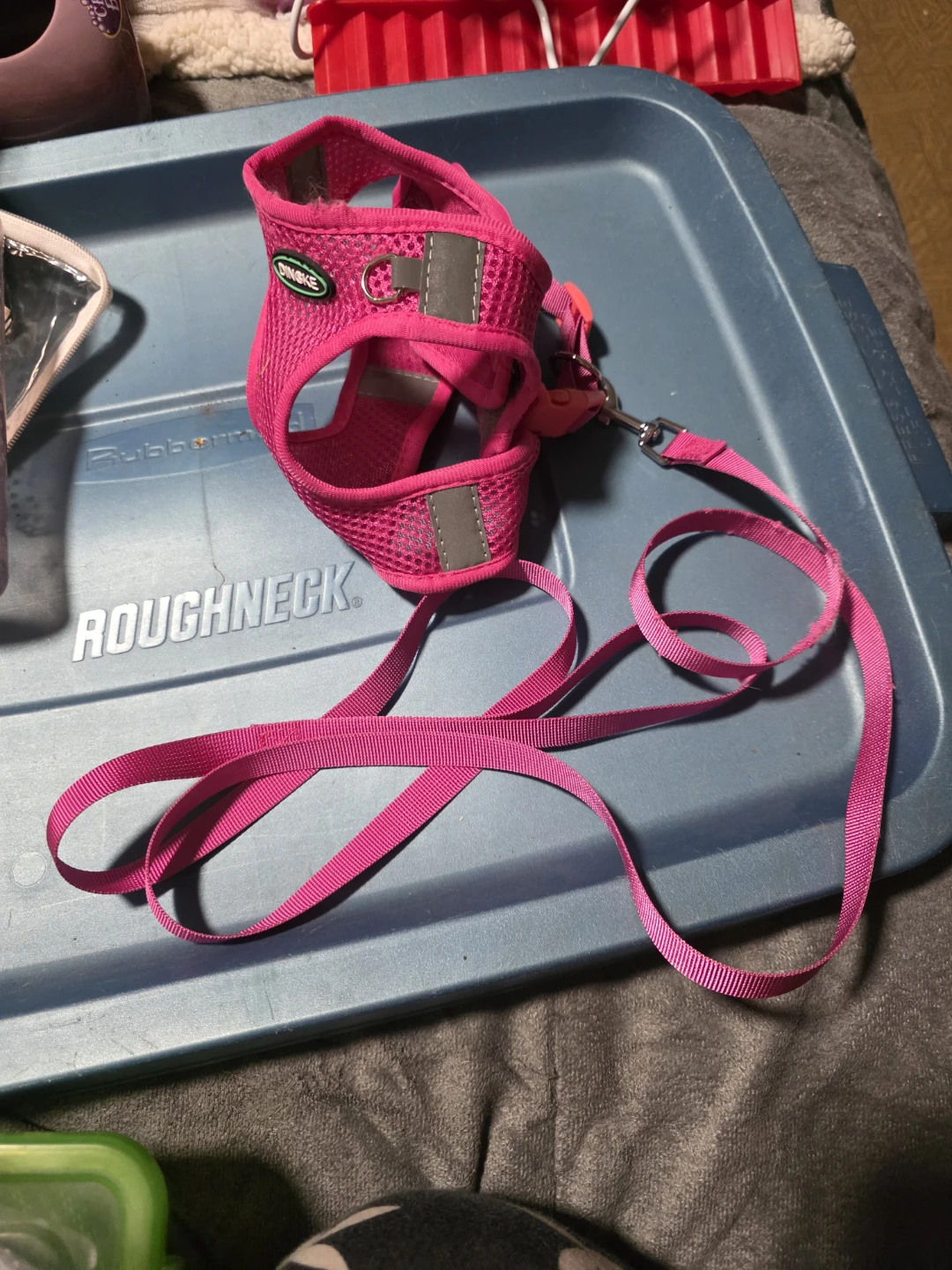 🧡 Size medium harness and leash
