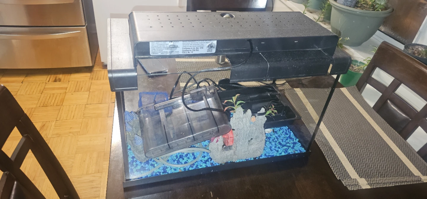 Fish Tank with Accessories - photo 2
