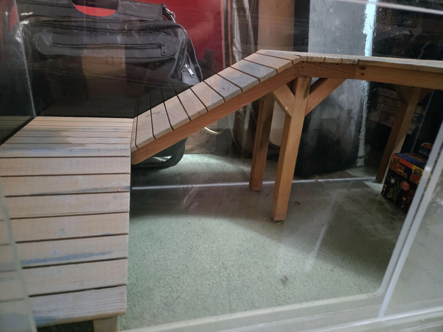 Terrarium with Wooden Ramps and Platforms - photo 2
