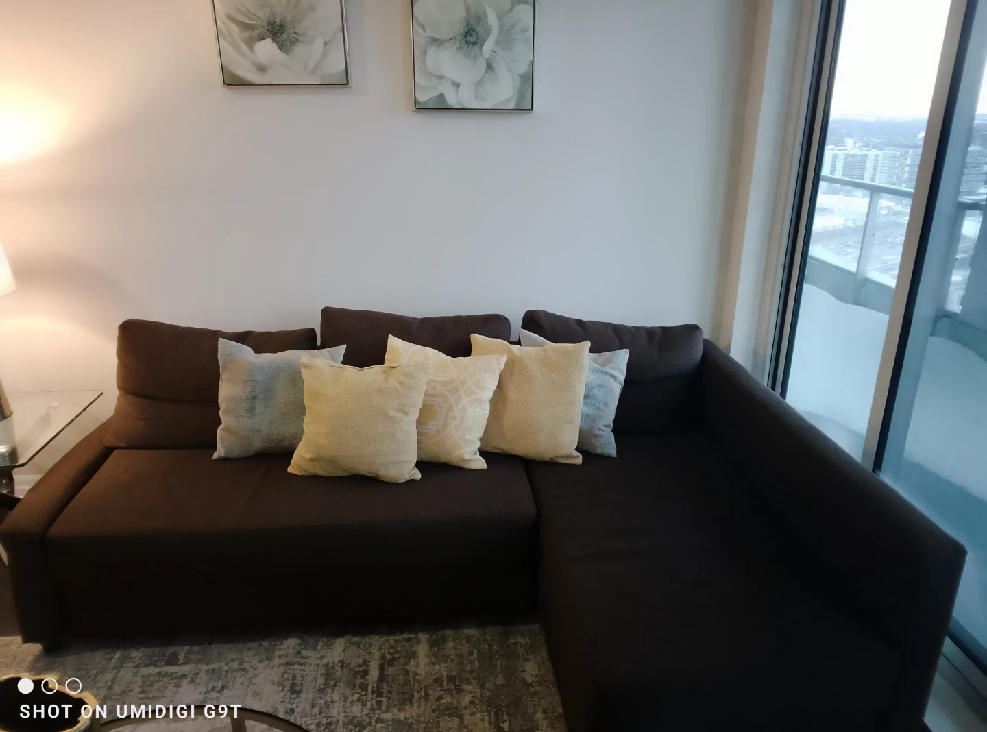 Brown Sectional Sofa with Pull-Out Bed