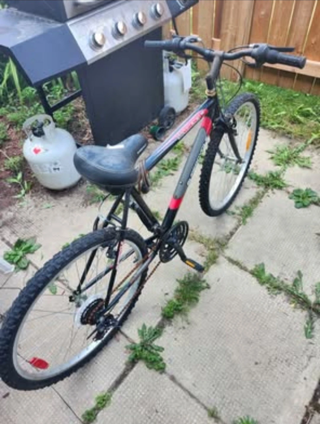 Mountain Bike - Black and Red