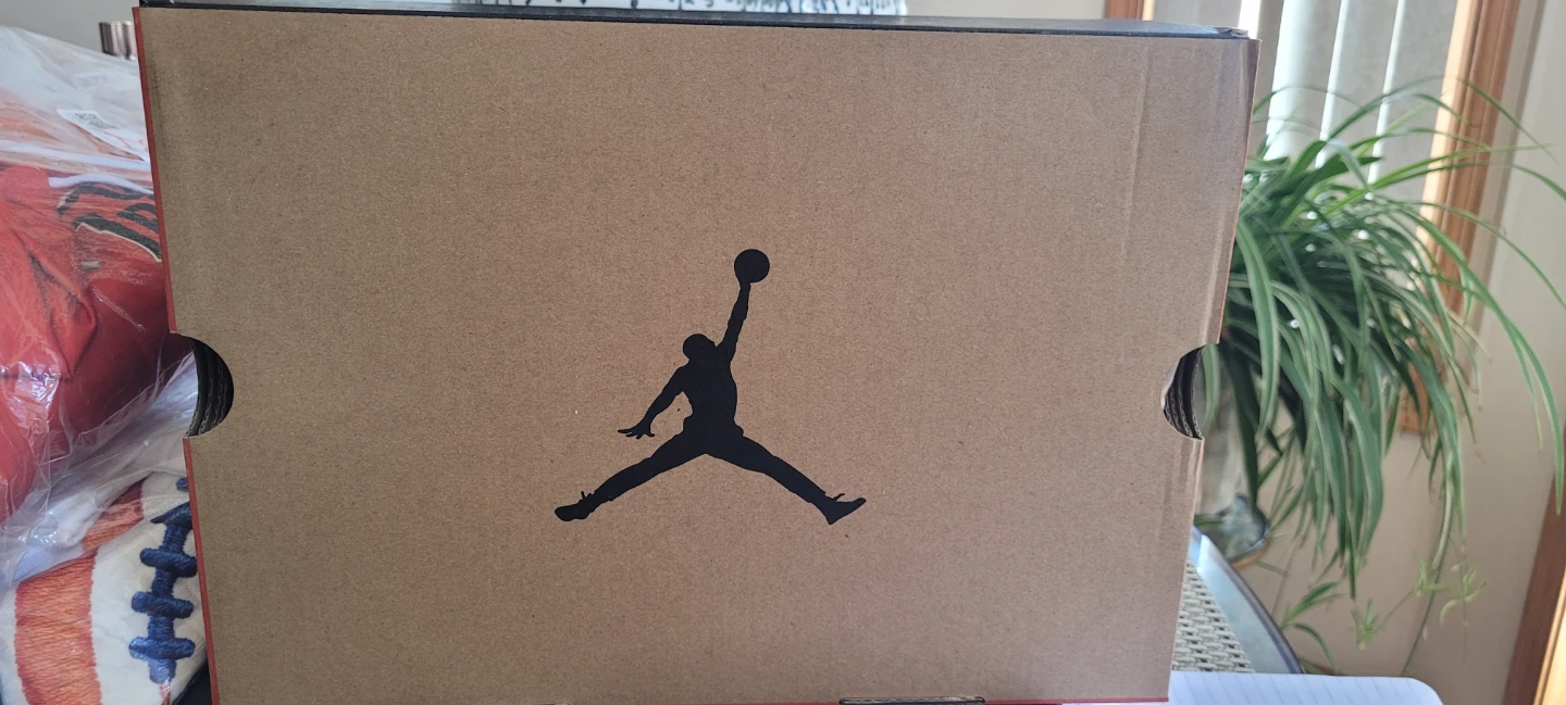 New never worn Jordan retro 12 - photo 5