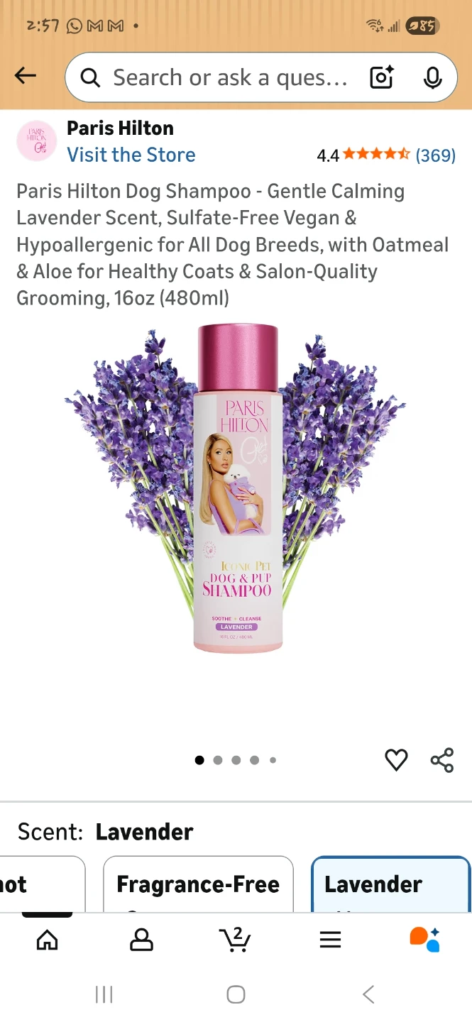 Paris Hilton Dog & Pup Shampoo, Lavender, 16oz