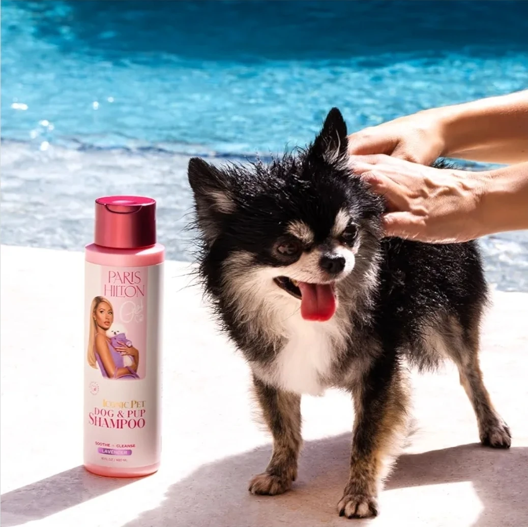 Paris Hilton Dog & Pup Shampoo, Lavender, 16oz - photo 3