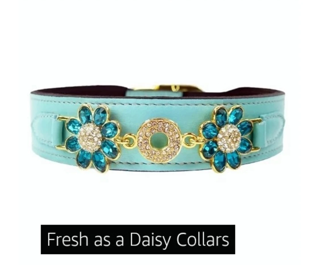 Hartman & Rose Fresh as a Daisy Dog Collar & Leash