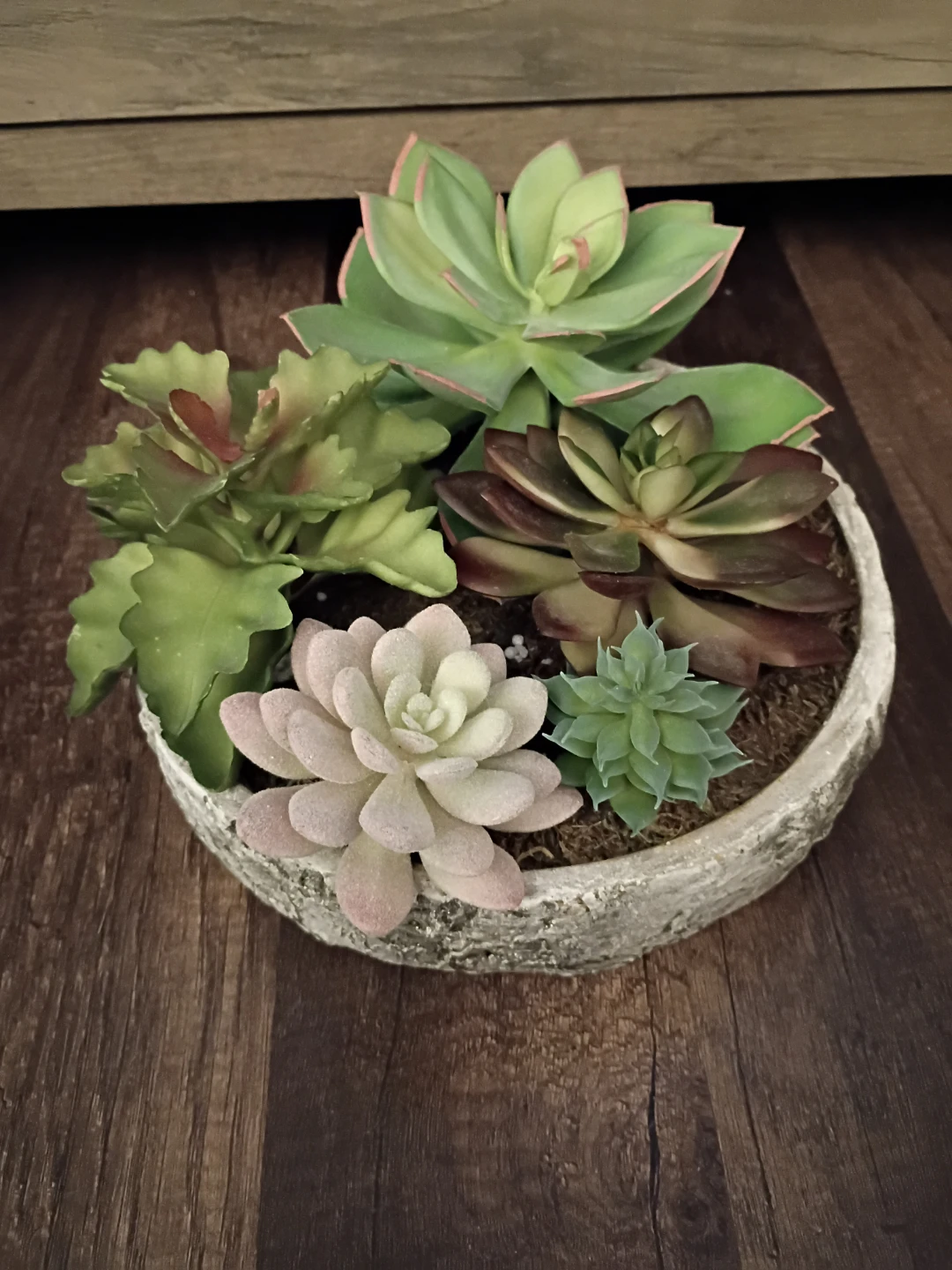 Artificial Succulents in Pot