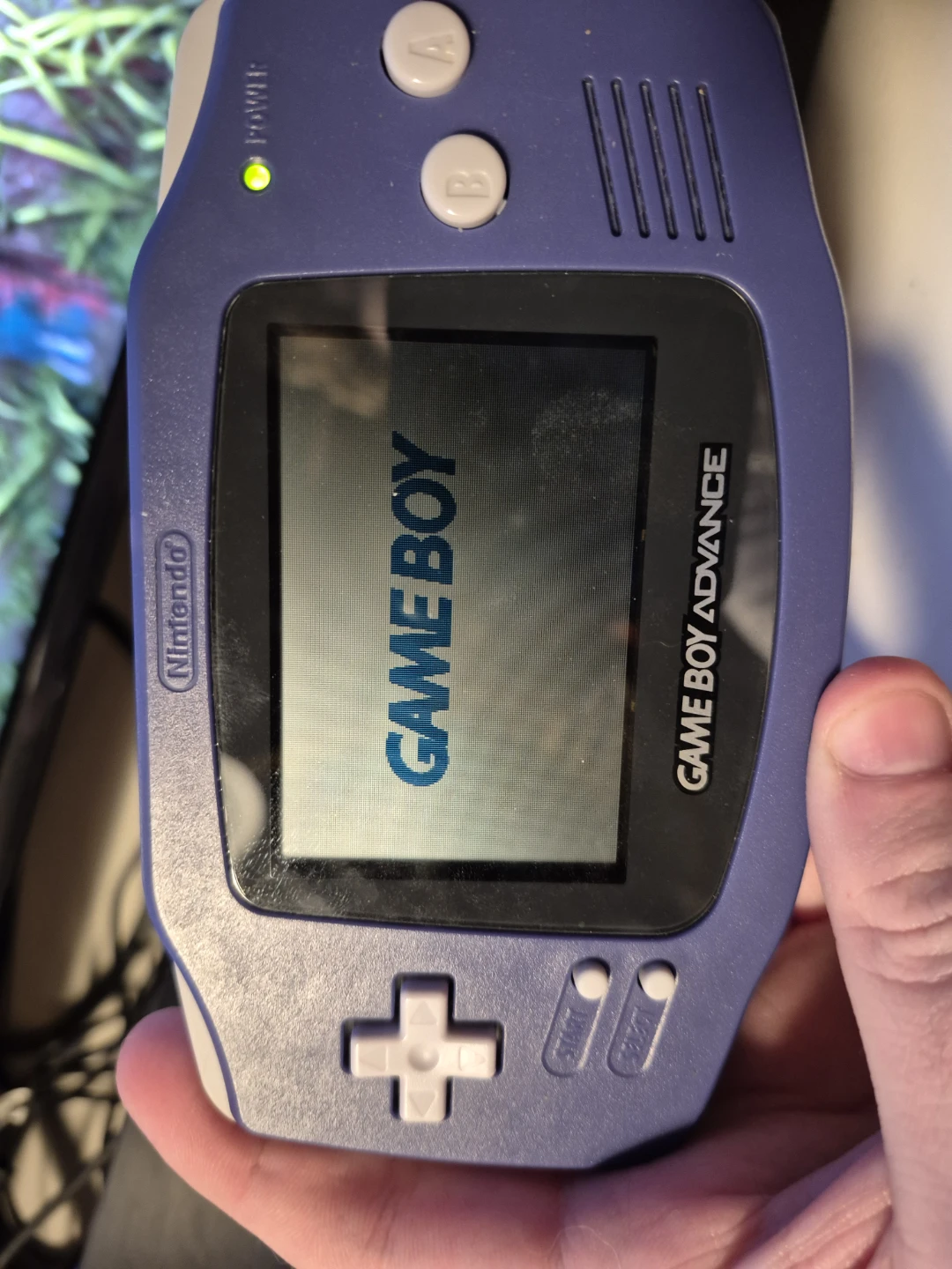 Nintendo Game Boy Advance - Purple - photo 3