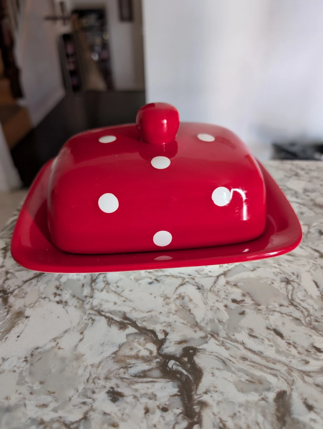 Red Polka Dot Butter Dish