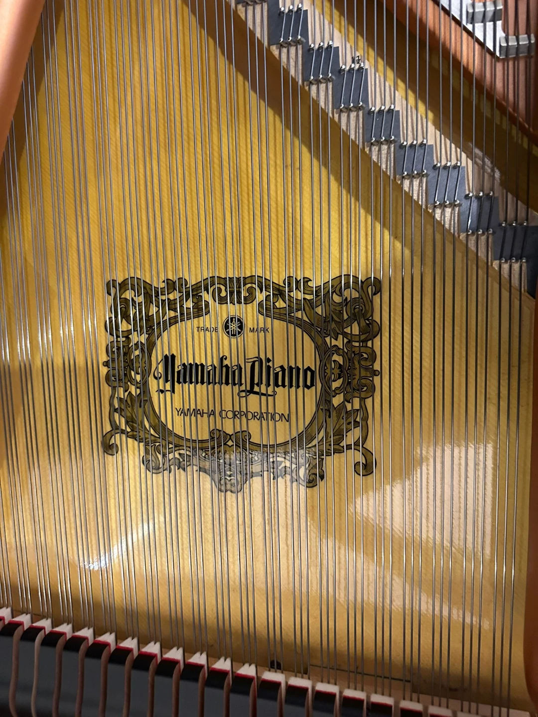 Yamaha Grand Piano - photo 5