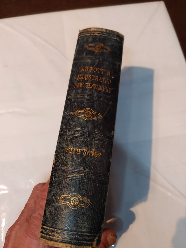 Abbott's Illustrated New Testament with Notes John Abbott 1878 - photo 2