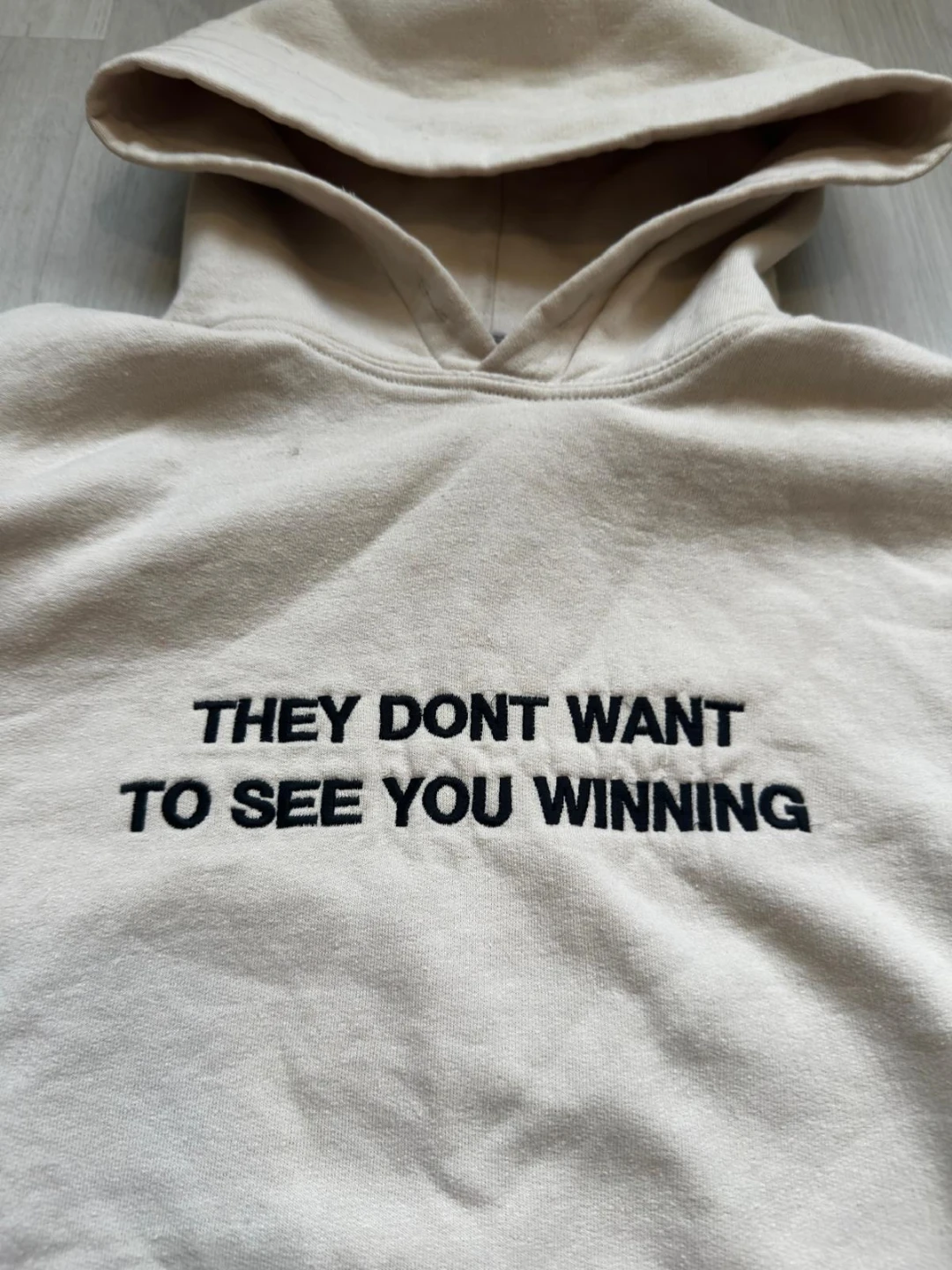 Gildan Heavy Blend Hoodie - "They Don't Want To See You Winning"