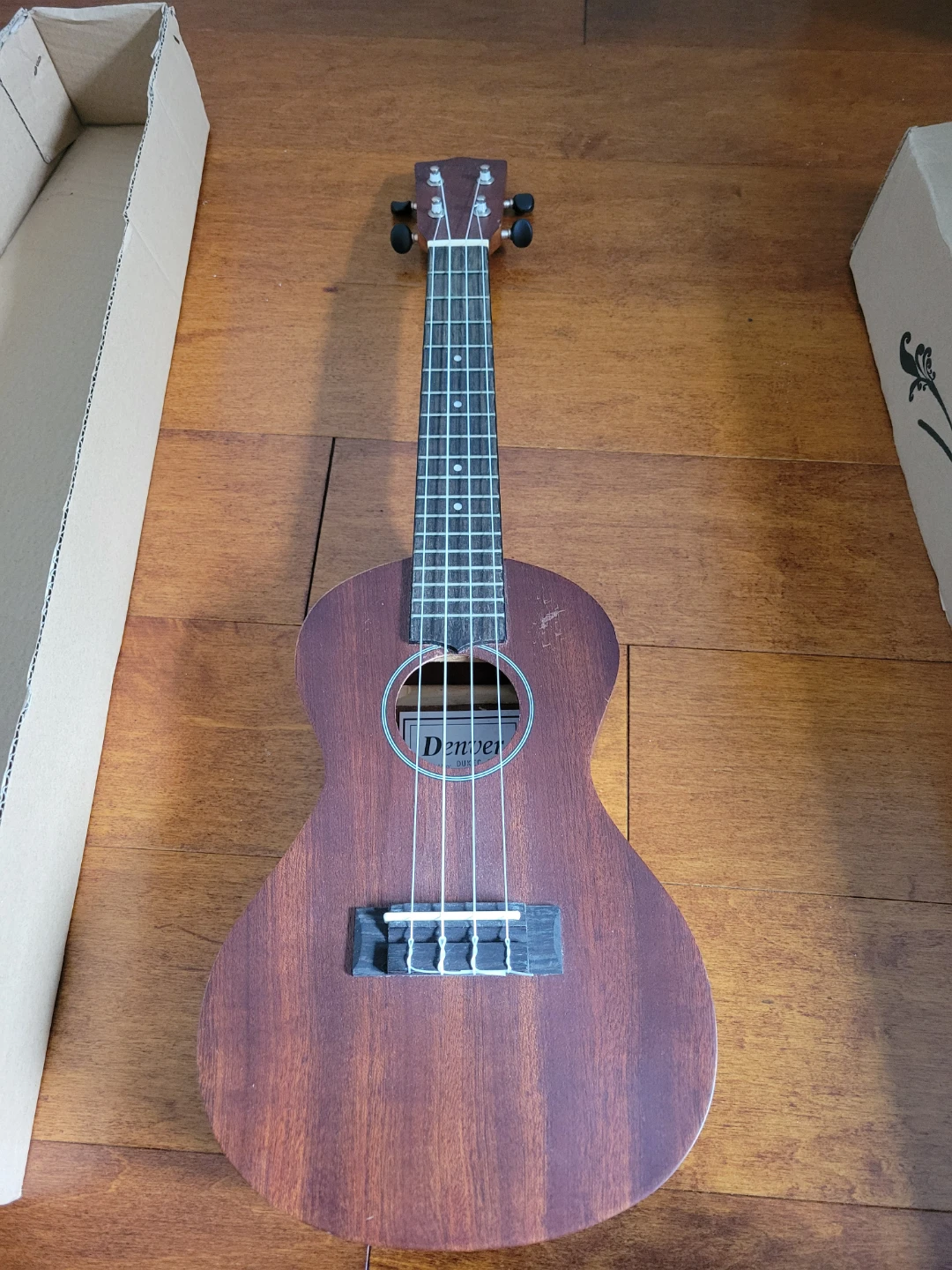 Ukulele with Case