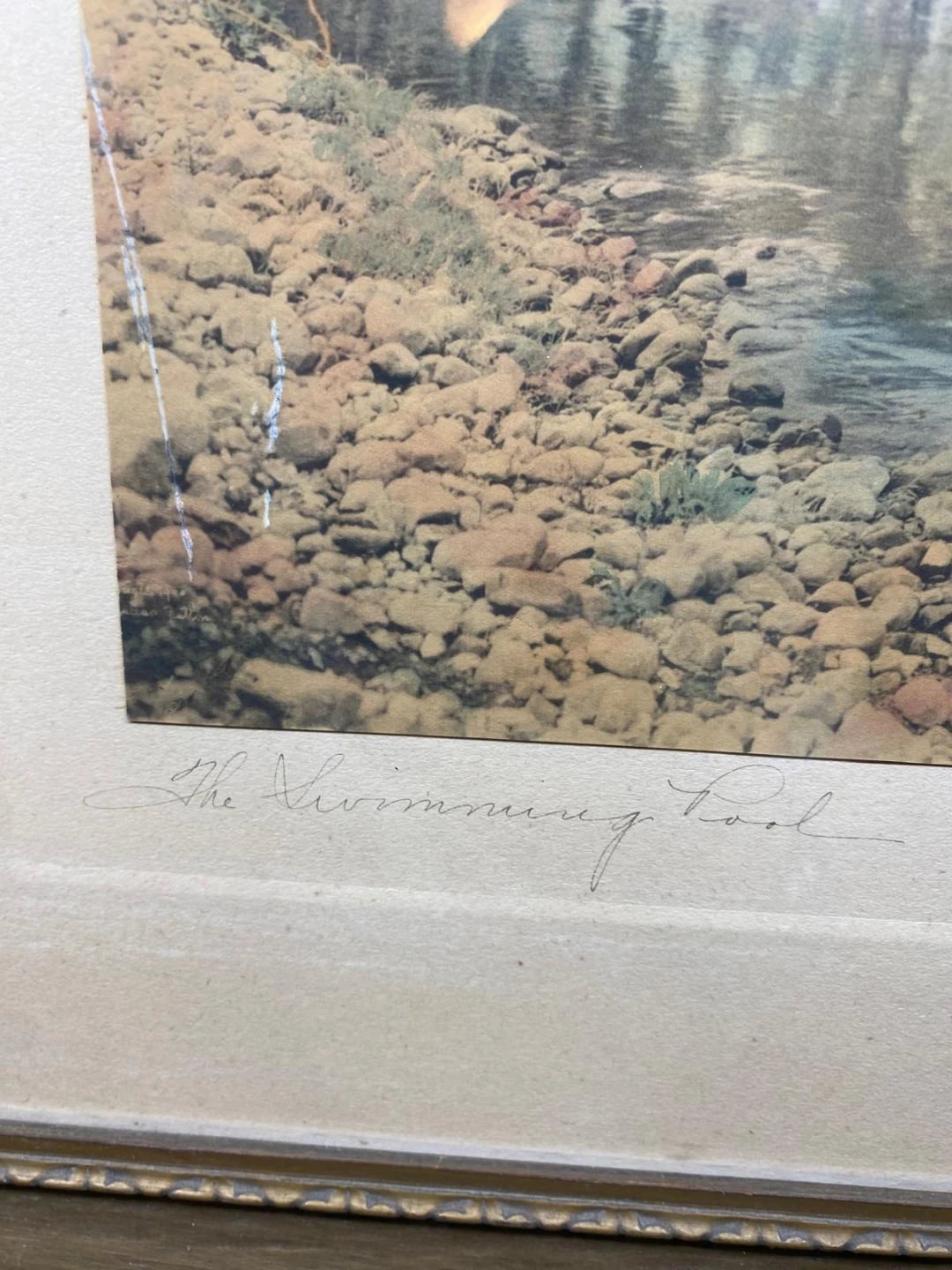 The Swimming Pool Framed Print - photo 3