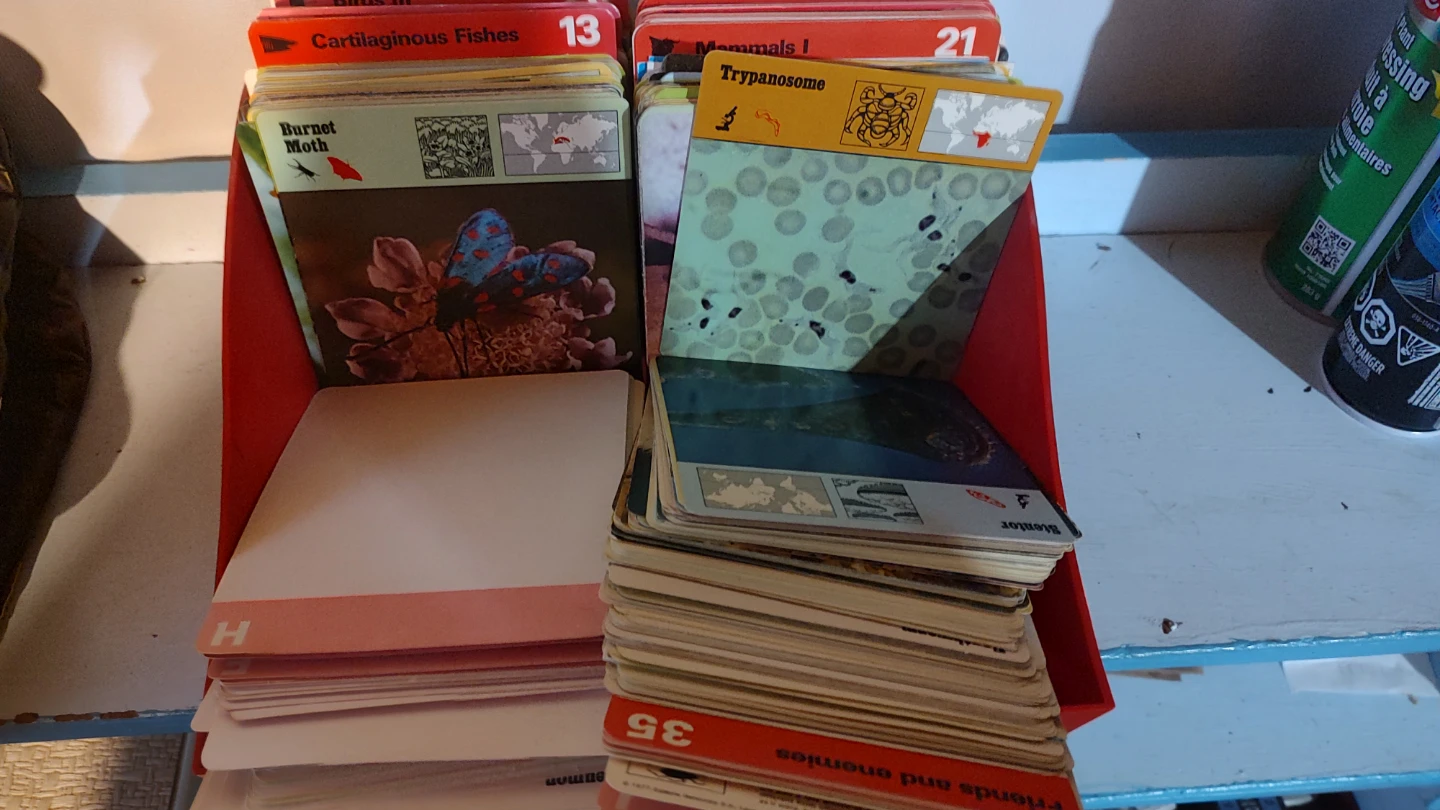 Vintage Educational Animal & Science Cards - photo 3