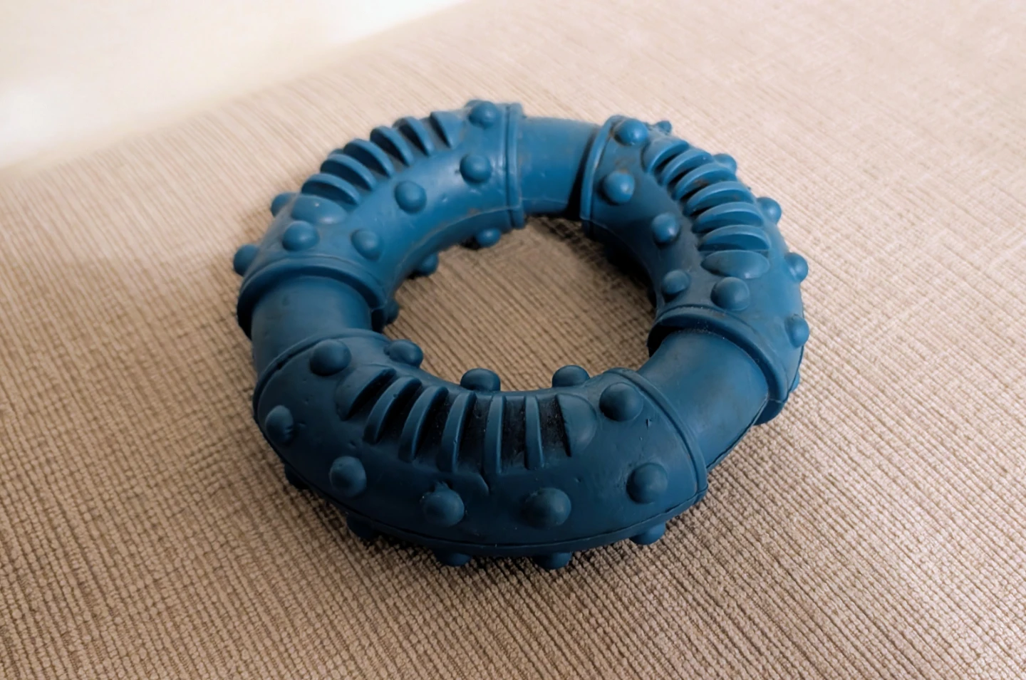 Blue Rubber Dog Chew Toy