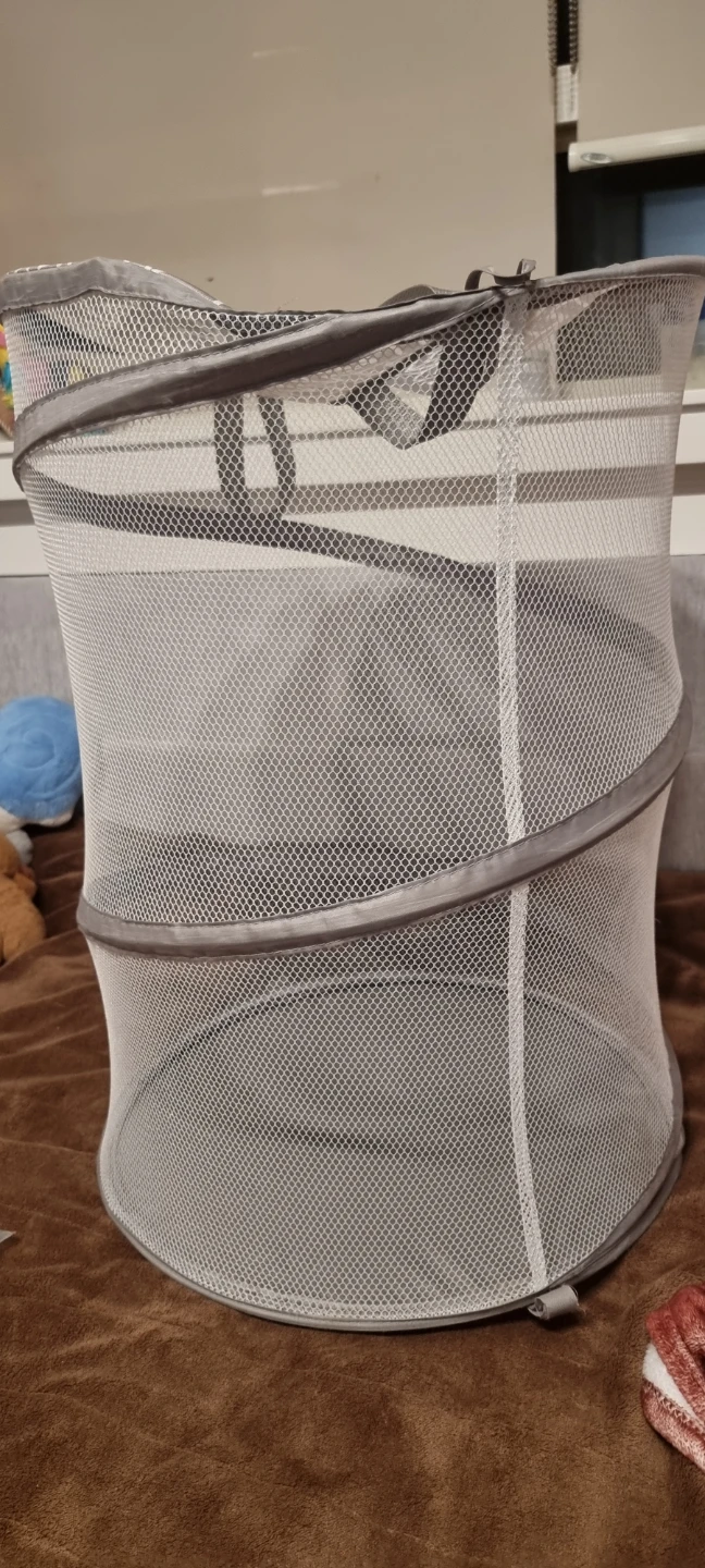 Mesh Pop-Up Laundry Hamper