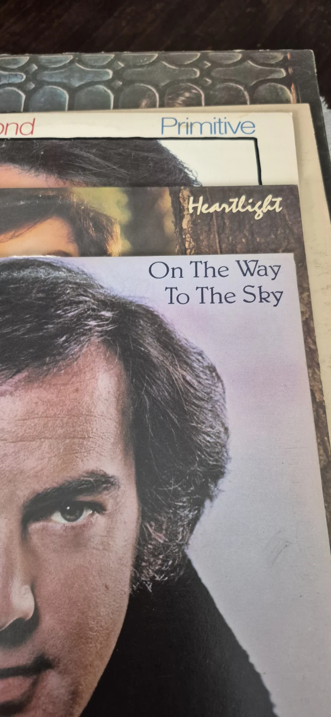 Neil Diamond, Gordon Lightfoot, Barry Manilow Vinyl Records - photo 3