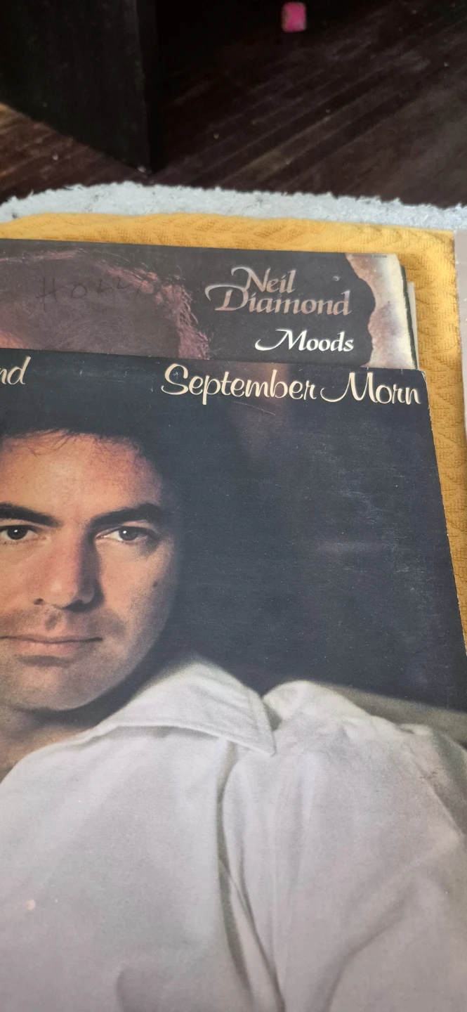 Neil Diamond, Gordon Lightfoot, Barry Manilow Vinyl Records - photo 5