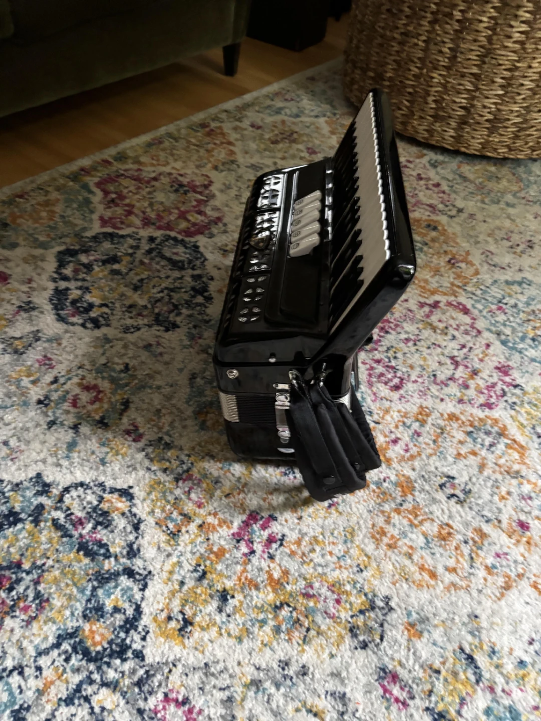 Titan Accordion - photo 3