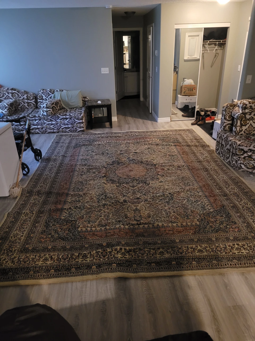 Large Area Rug - photo 2