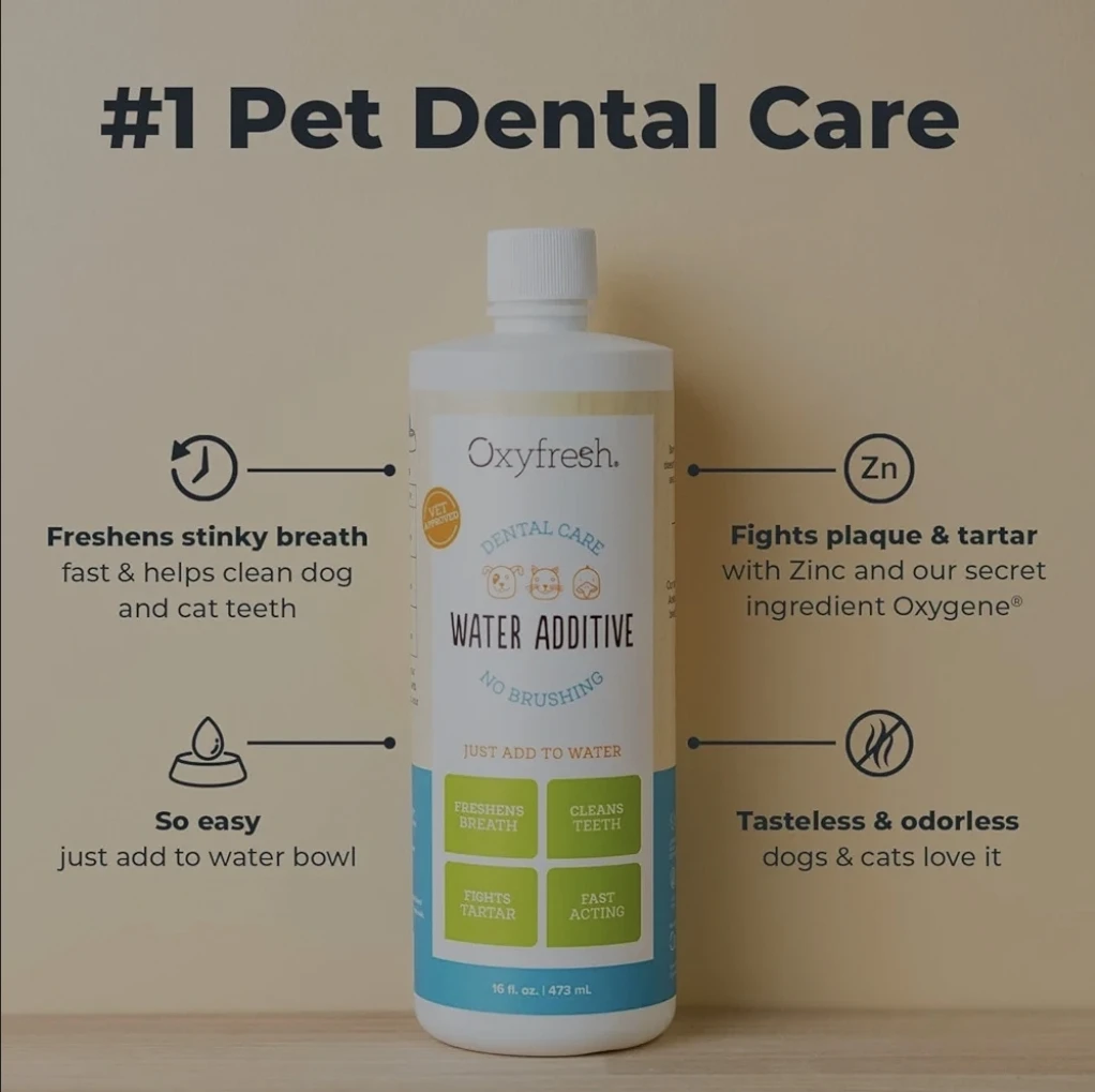 Pet Dental Care
