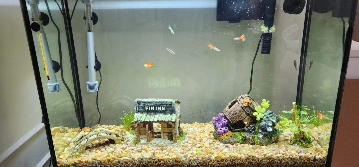 30 Gallon Aquarium Fish Tank + Accessories  - photo 3