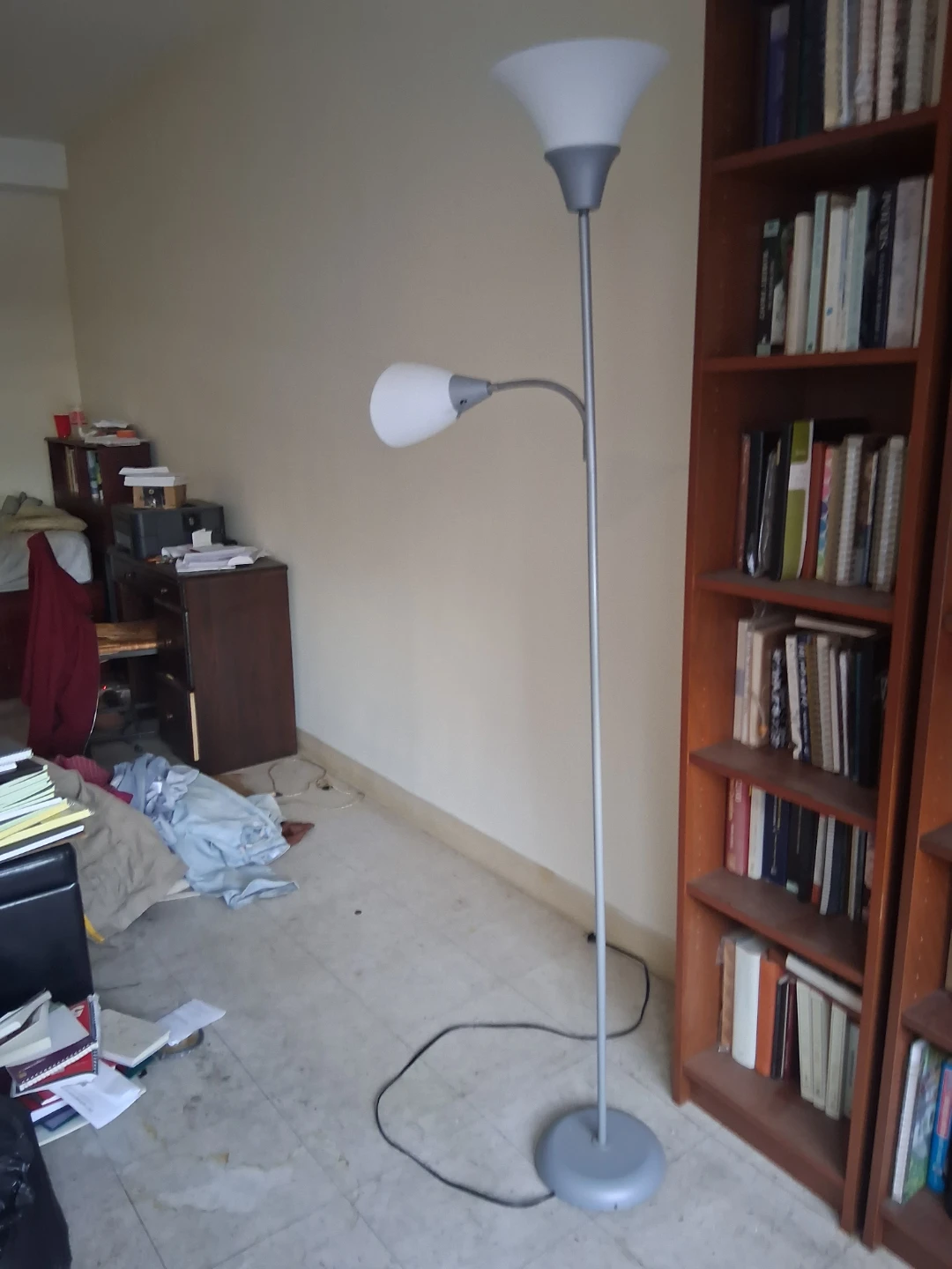 Adjustable Floor Lamp with Two Lights