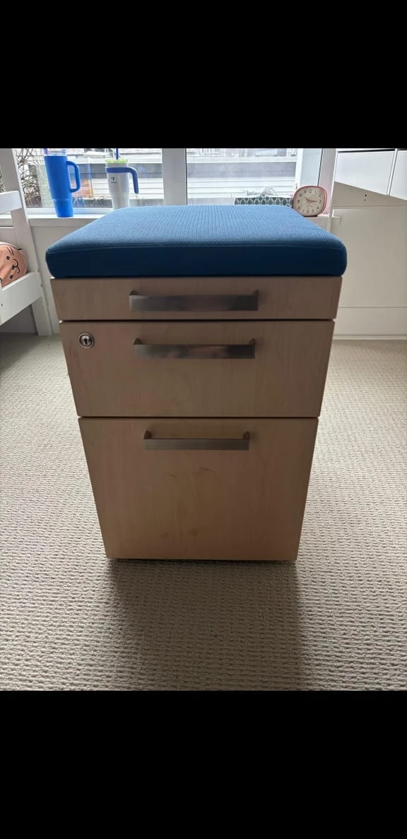 Blue Filing Cabinet with Cushion Top