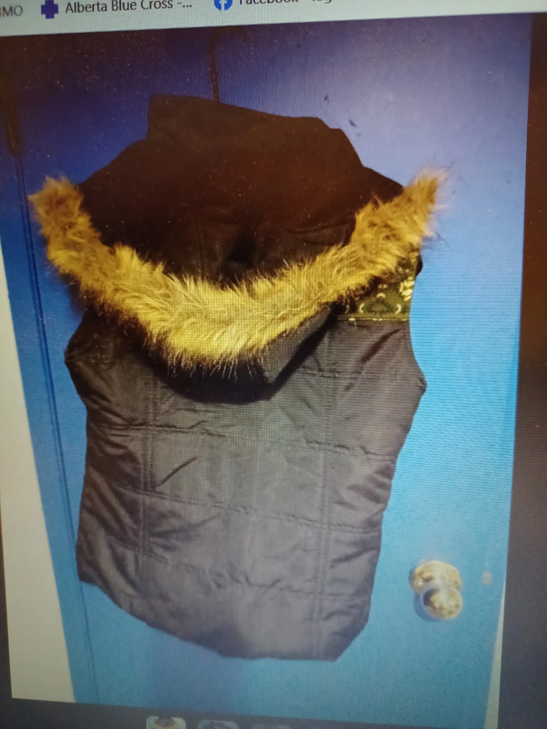 Women's Puffer Vest with Faux Fur Hood - photo 4