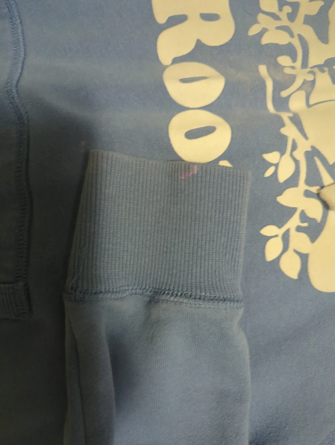Roots light blue athletics hoodie - photo 4