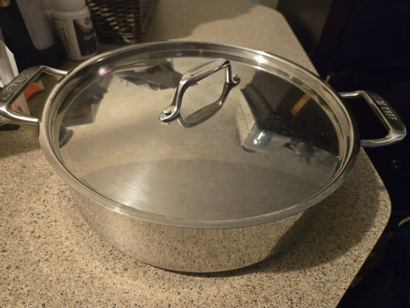 Epicure Stainless Steel 12" Pot with Lid