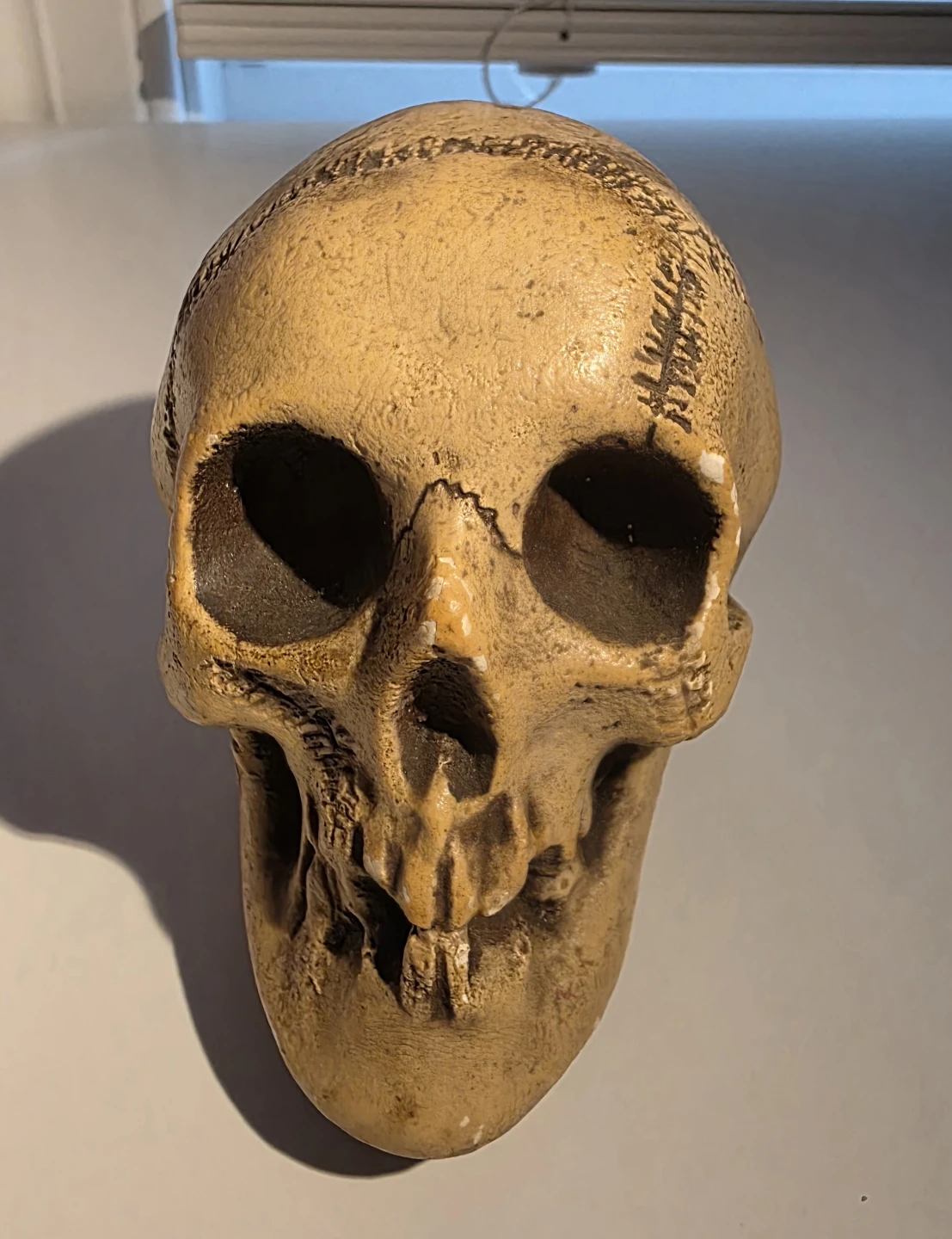 Collectible Disney Randotti Skull #220 Gloving in the dark