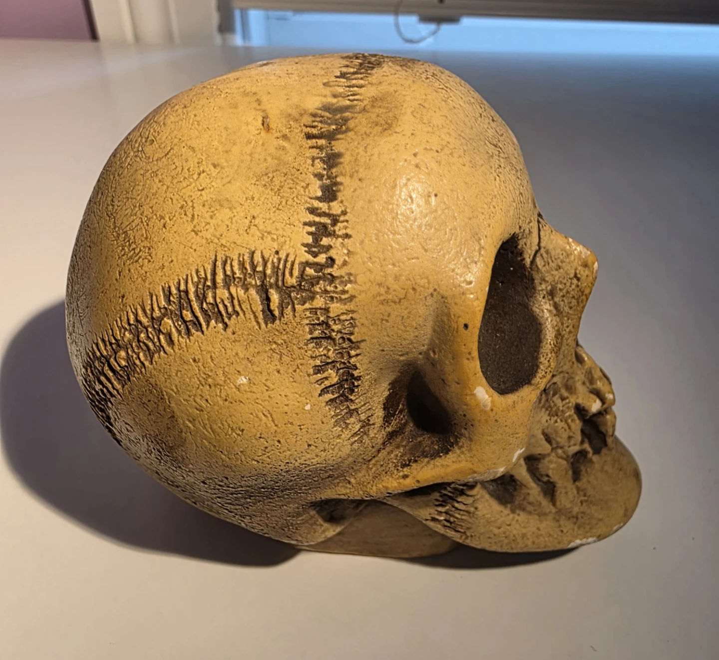 Collectible Disney Randotti Skull #220 Gloving in the dark - photo 5