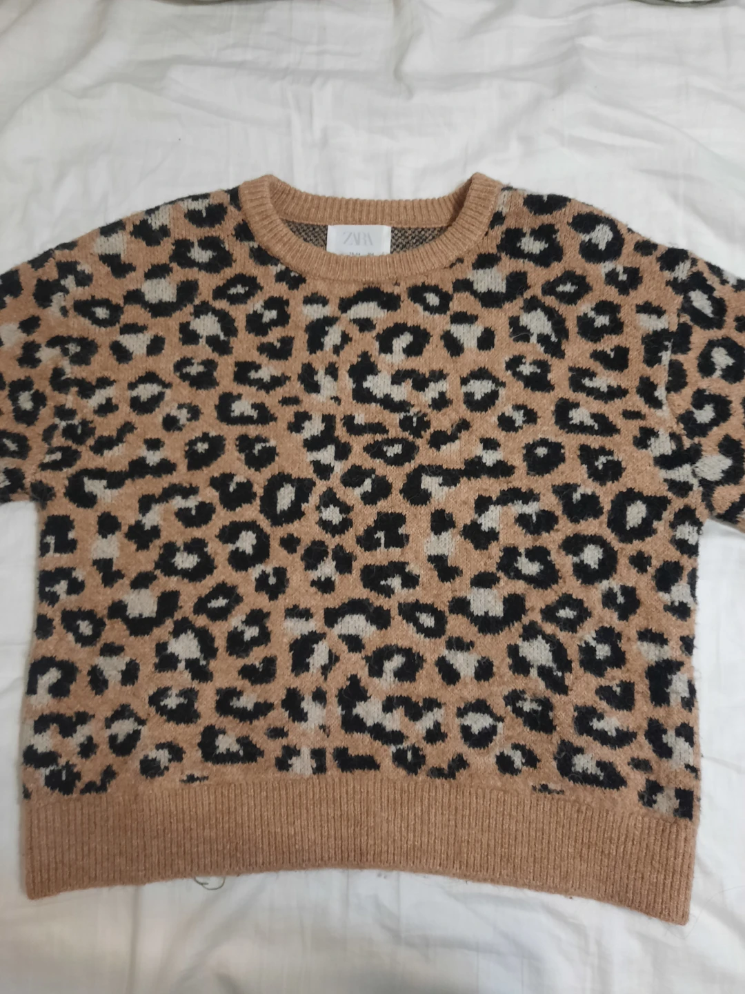 Zara Leopard Print Knit Sweater