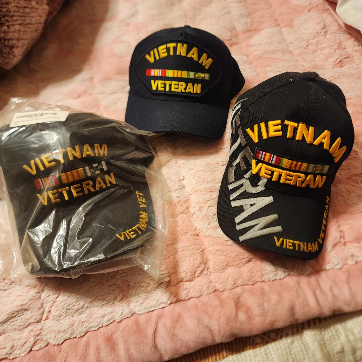 Vietnam Veteran hat.