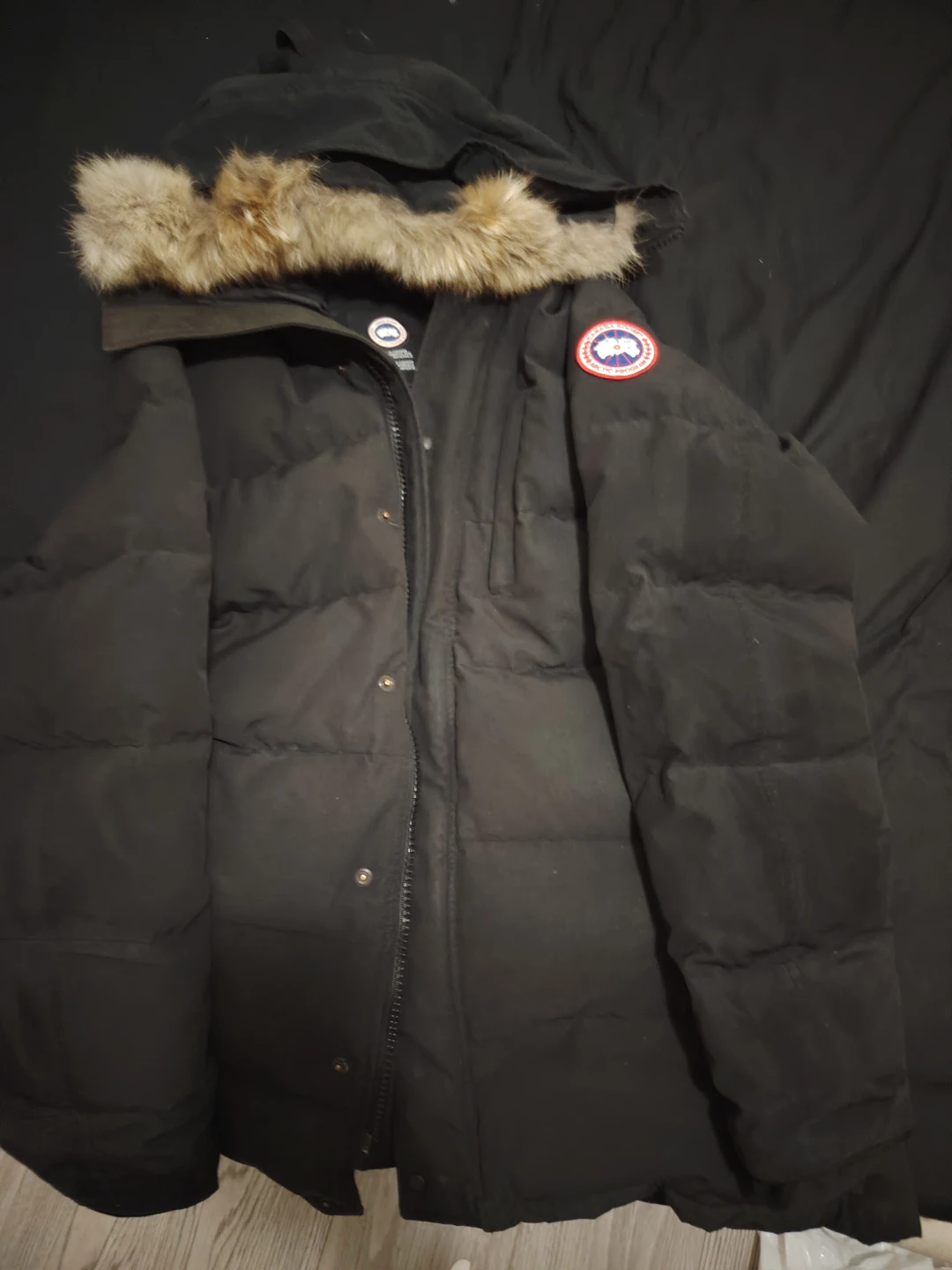 Canada Goose  - XL