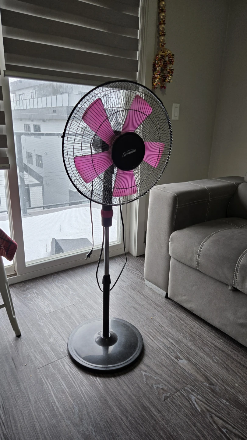 Sunbeam Stand Fan - Pink Accent