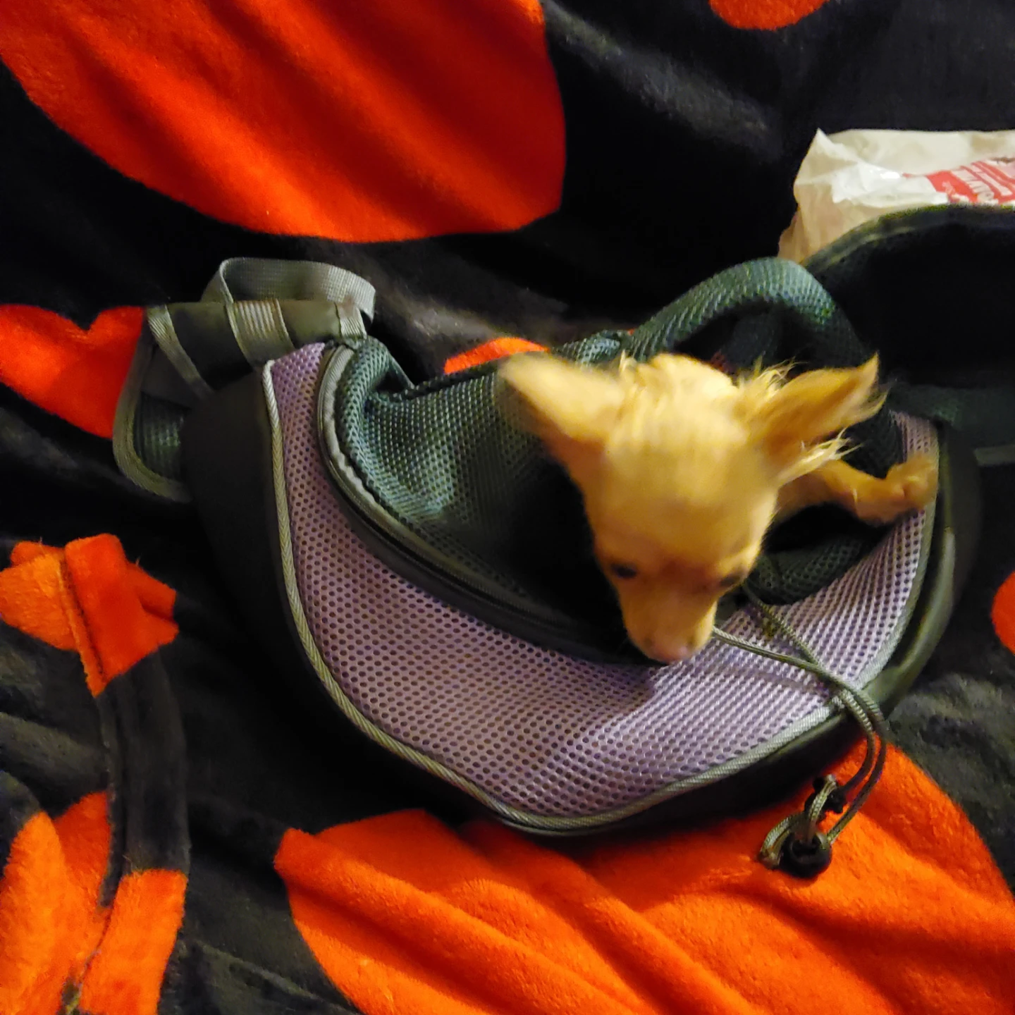 Pet Sling Carrier Bag - photo 3
