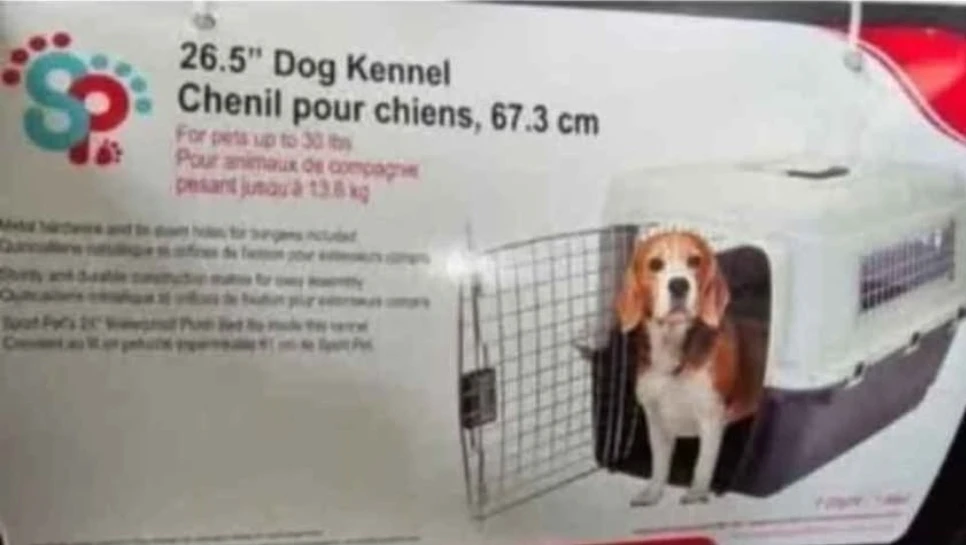 Medium Dog Kennel