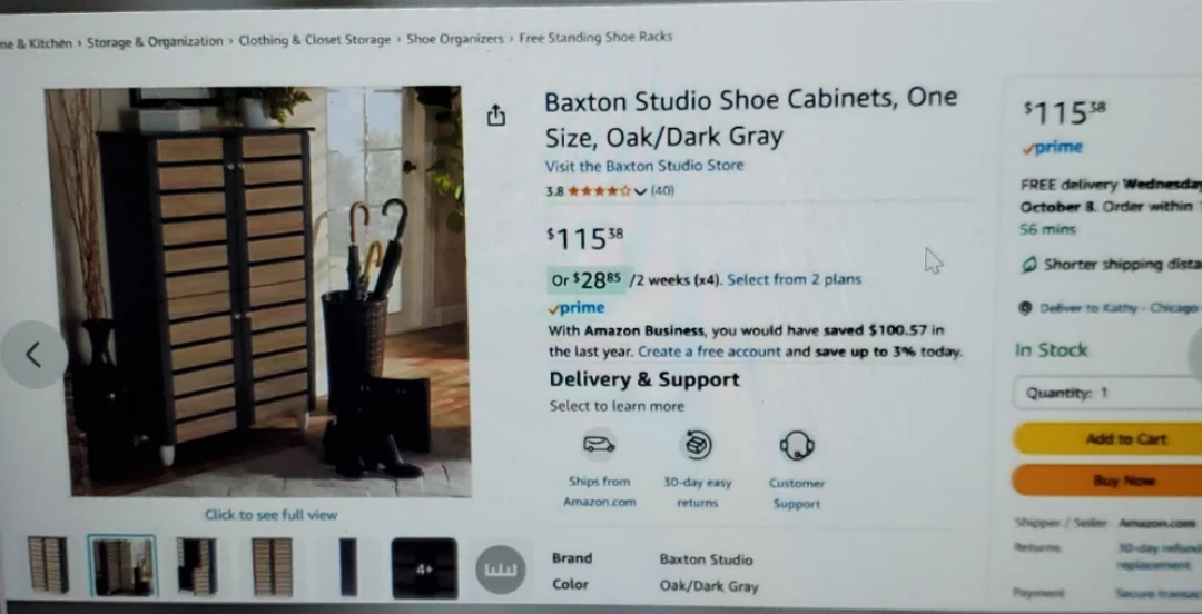 Baxton Studio Shoe Cabinet, Oak/Dark Gray