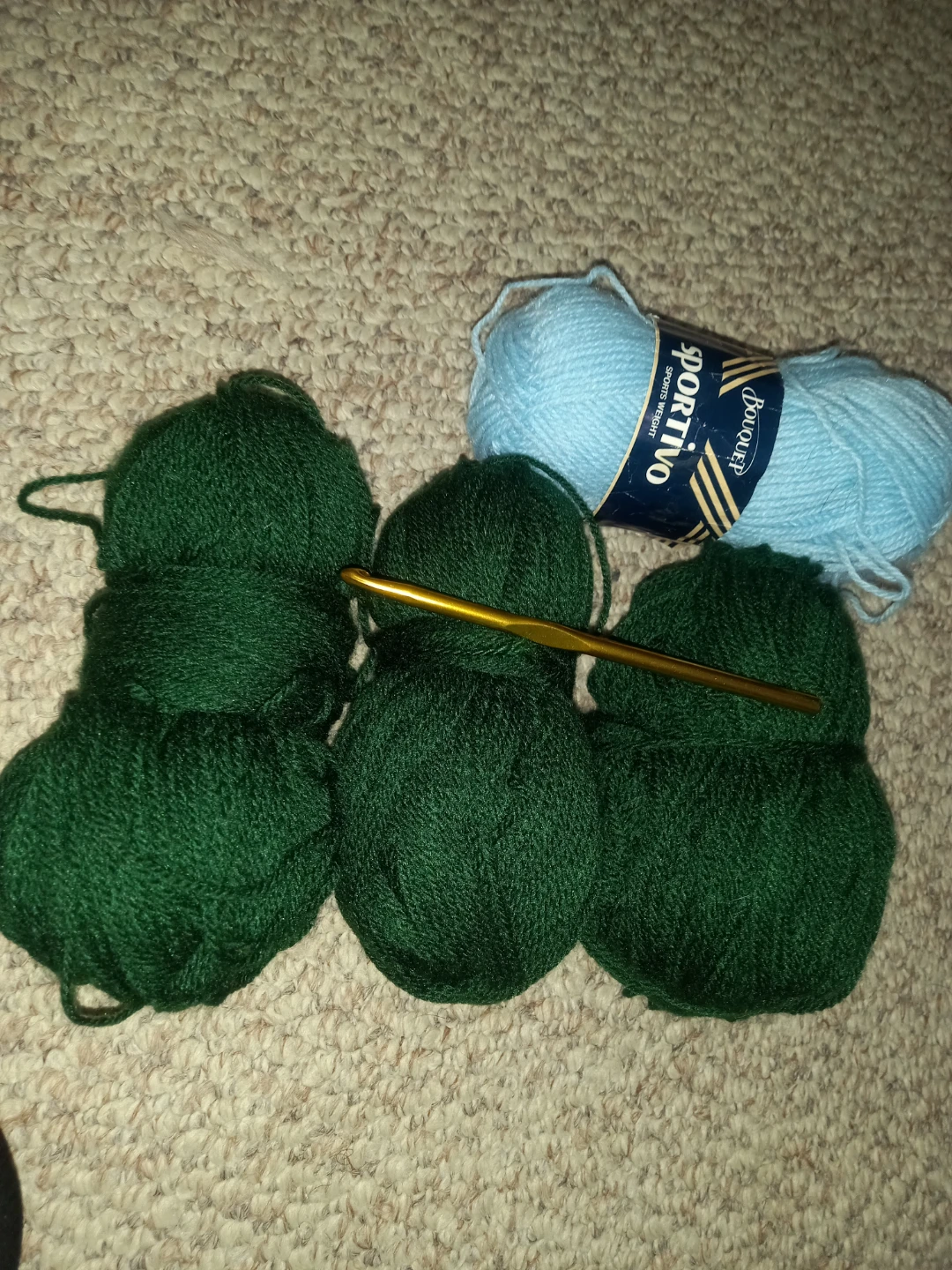 Bouquet Sportivo Yarn Lot - photo 3