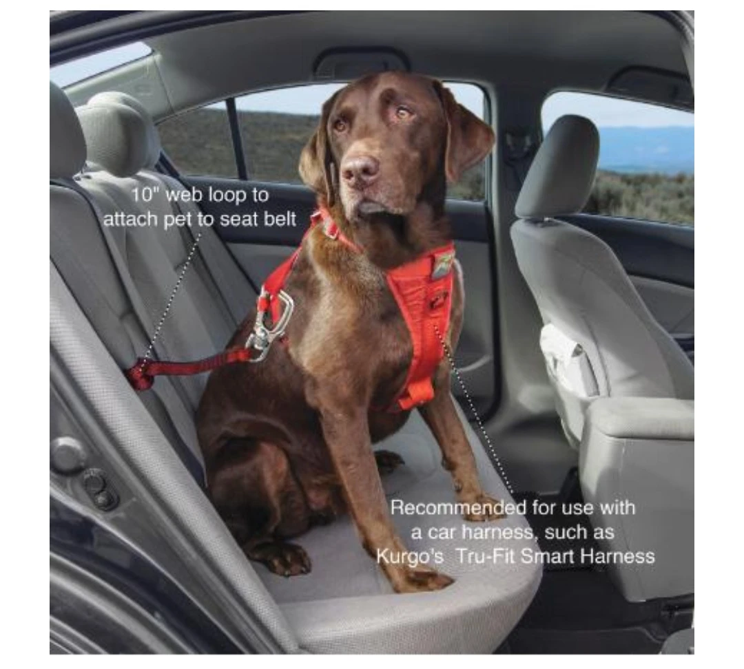 Kurgo Tru-Fit Smart Harness Pet Car Seat Belt Attachment - photo 2