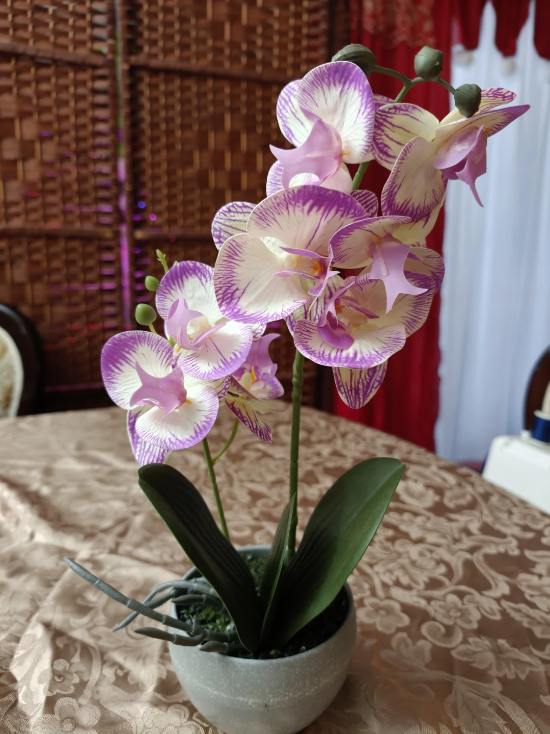 Joy Artificial Orchid Plant in Pot