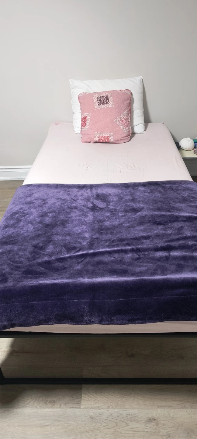 Metal Frame Twin Bed with mattress
