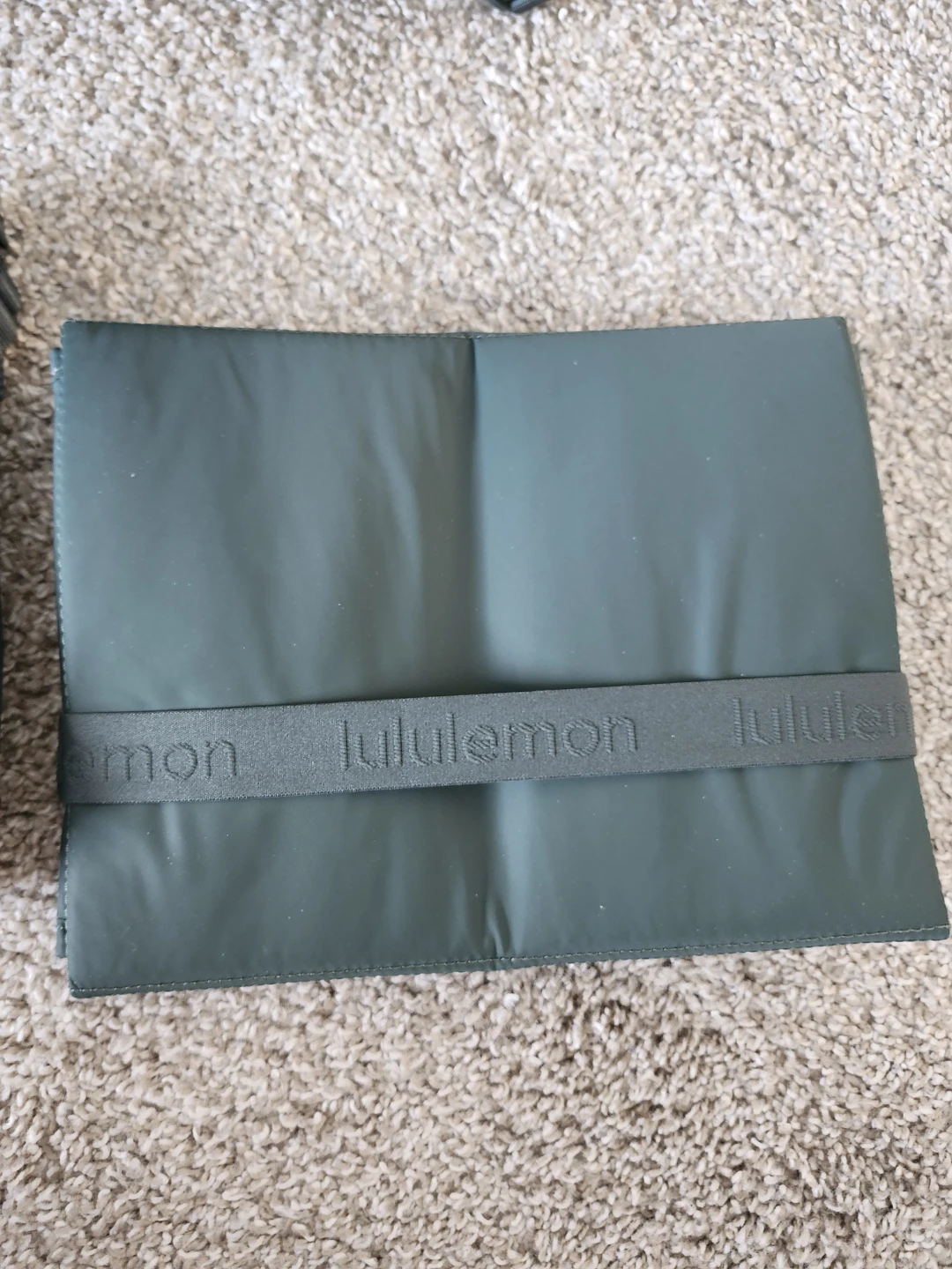 Lululemon New Parent Backpack -Brand New - photo 4