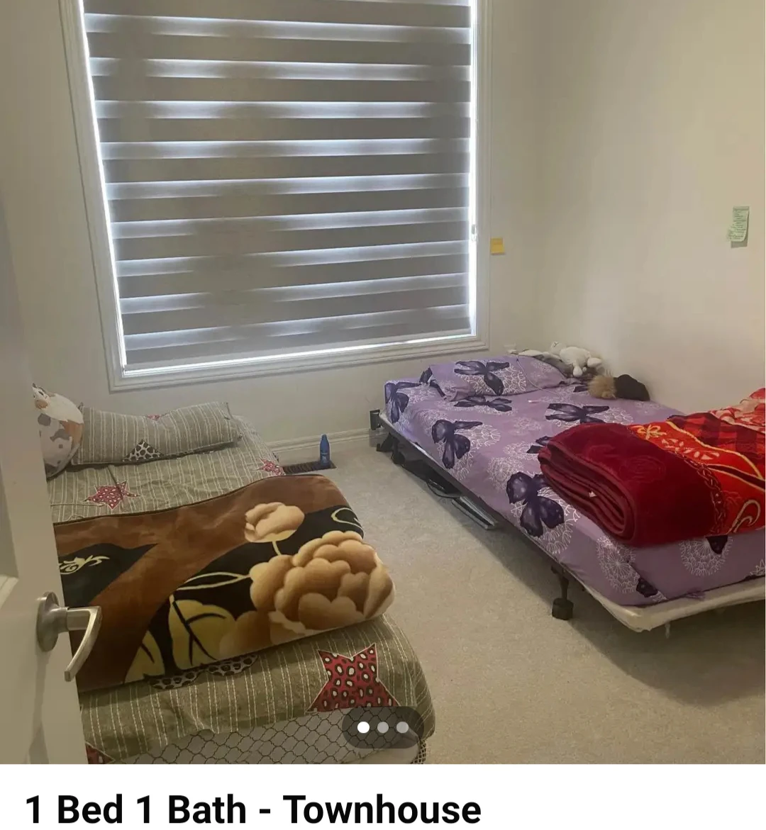 Shared Room Available