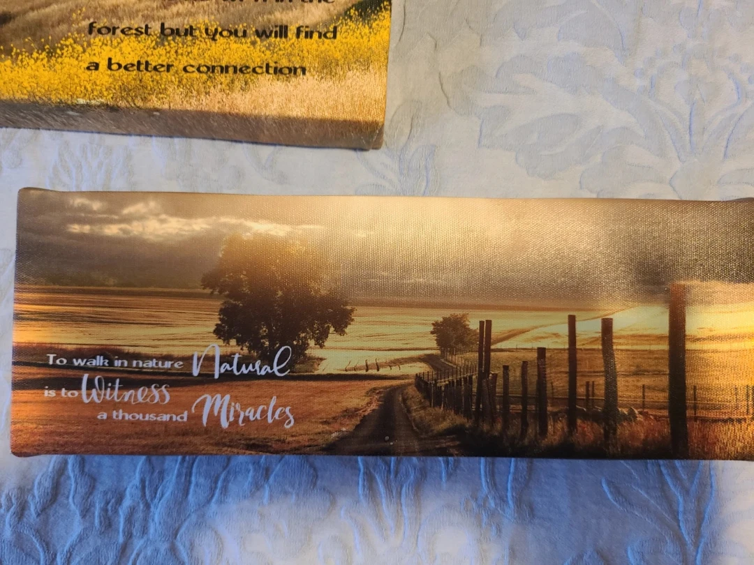 2 Wall Art Canvases - Nature Theme - photo 2