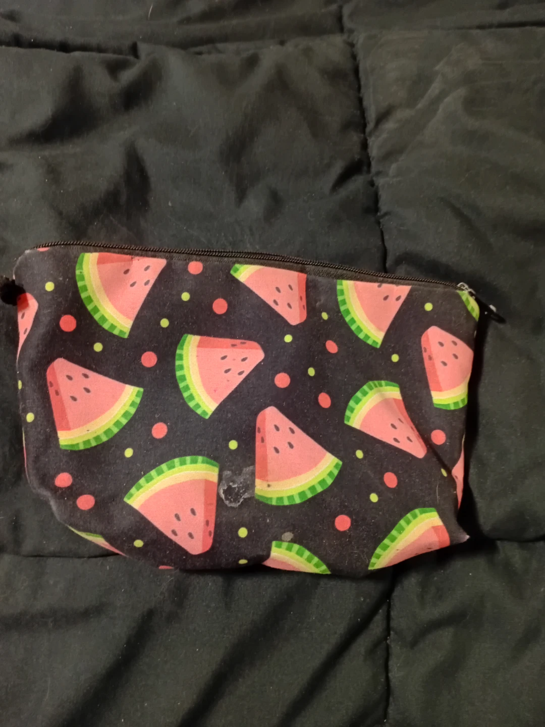 Watermelon Print Cosmetic Bag